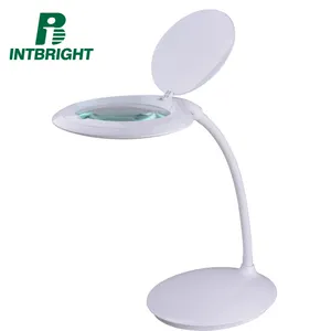 Inspection de col de cygne 5X, broderie pour l'intérieur, lampe portable de lecture de bureau avec loupe