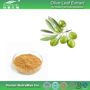 Лучшая цена, 6% ~ 60% 80% Олеуропеин, экстракт оливкового листа, порошок, экстракт оливковых листьев - Product Image 4
