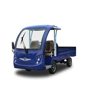 2 plazas camioneta Mini camioneta eléctrica - Product Image 1
