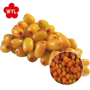 Hochwertige gefrorene Sanddorn beeren Sanddorn beere - Product Image 5