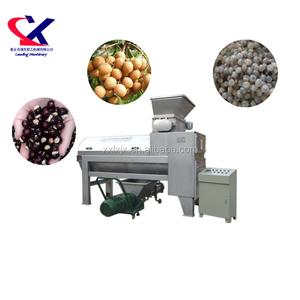 Uitstekende Lychee Dunschiller en Pitter Machine Lychee Sap Maken Machine