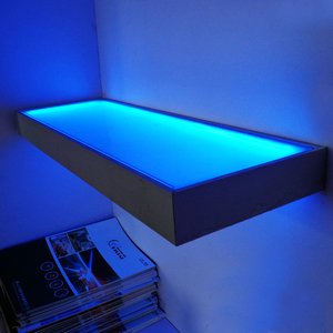 <span class=keywords><strong>Wall</strong></span> Mount Loại Tempered Glass Kệ phẳng với 60 cái/mét <span class=keywords><strong>LED</strong></span> ánh sáng 12V DC E26 cơ sở Tường Đèn - Product Image 1