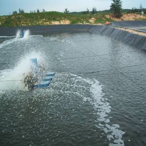 7m <span class=keywords><strong>LDPE</strong></span> HDPE thổi <span class=keywords><strong>geomembrane</strong></span> phim máy đùn nhựa phim thổi máy PE phim thổi máy - Product Image 5