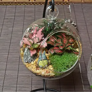 Dia.13cm dekorative Glas hängende Kugeln Pflanzen Terrarium mit Metallst änder Großhandel