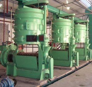 Sản Xuất Tại Trung Quốc Tự Động Vít Hạt Giống Bông Hướng Dương Hạt Bí Ngô Máy Ép Dầu Công Suất Lớn Cho Sử Dụng Thương Mại - Product Image 4