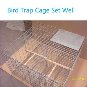 China Leverancier Multi Catch Live Metalen Vogel Vallen Kooi Ebay - Product Image 3