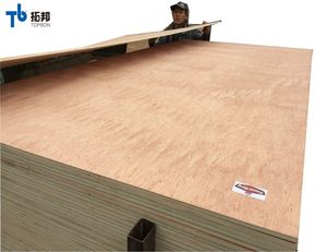 มะฮอกกานีชั้นไม้อัดขนาดราคาดี - Product Image 4