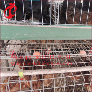 Chuyên Nghiệp Nuôi Coop Gà Nhà Bán Lồng Đẻ Gà Lồng Với Giá Thấp - Product Image 5