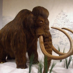 Life Like Animatronic Zoo <span class=keywords><strong>Animal</strong></span> Model à vendre - Product Image 2