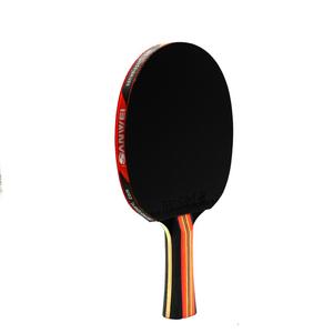 <span class=keywords><strong>Raquette</strong></span> classique de Tennis, santable, <span class=keywords><strong>8</strong></span> étoiles, haute qualité, sanstyle Taiji, 810 - Product Image 4
