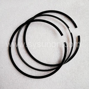 Máy Móc Xây Dựng QSB6.7 Động Cơ Diesel Phụ Tùng Piston Ring 4955251 - Product Image 5
