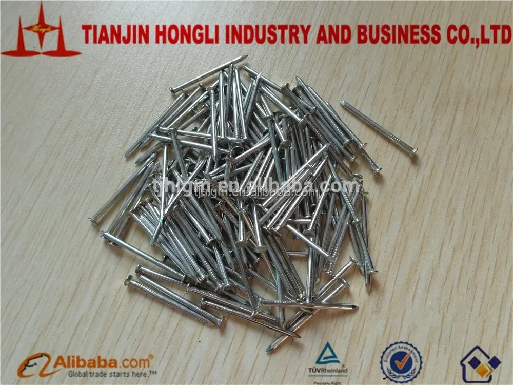 Hongli工場ステンレス鋼コンクリート釘/ステンレス鋼爪/コンクリート釘サイズ