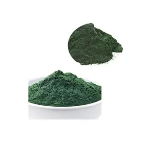 Polvo de espirulina orgánica de alta calidad, algas verdes, clorofila no OMG, chorella no irradiada - Product Image 1