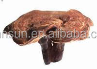 Organique Plante Poudre Rouge Reishi Extrait De Champignon poudre - Product Image 6