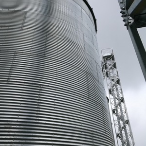 Silo de Almacenamiento de Grano con Estructura de Acero de 1000t, <span class=keywords><strong>Precio</strong></span> de Fábrica - Product Image 3