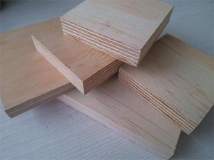 Struktural Pinus Kayu Lapis 12X1220X2440 Mm