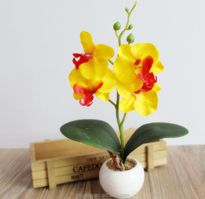 4 forchetta Commercio All'ingrosso In Vaso <span class=keywords><strong>Phalaenopsis</strong></span> Piante di Orchidee <span class=keywords><strong>Bonsai</strong></span> Artificiale per la Tavola Da Pranzo Decorazione - Product Image 3