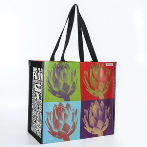 प्रचार पूर्ण रंग मुद्रण लोगो अनुकूलित पीपी फाड़ना तह गैर बुना ढोना शॉपिंग बैग