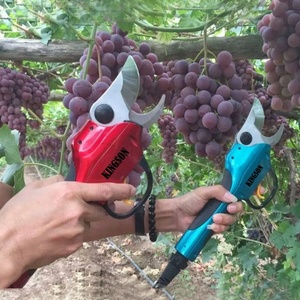 45Mm Cắt <span class=keywords><strong>Orchard</strong></span> Và Cây Ăn Quả Điện <span class=keywords><strong>Pruner</strong></span> Để Cắt Tỉa - Product Image 2