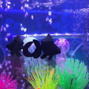 Nep Vis <span class=keywords><strong>Aquarium</strong></span> Decoratieve Kleine Plastic Vis Simuleren Goudvis Bewegen Met Waterstroom - Product Image 4