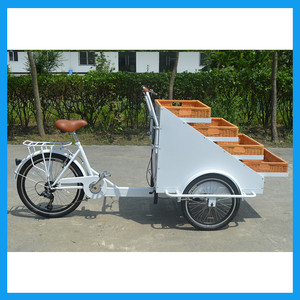 Famille Grand Carier Vehicel Affichage Cargo Tricycle Stands avec Étagères - Product Image 3