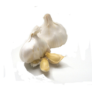 <span class=keywords><strong>semilla</strong></span> <span class=keywords><strong>de</strong></span> <span class=keywords><strong>ajo</strong></span> <span class=keywords><strong>chino</strong></span> - Product Image 1