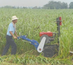 Máquina de recolección de hierba, pastos, alfalfa, juncos - Product Image 1