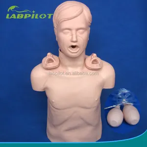 成人 Heimlich 机动气道开放和 CPR 训练 Manikin