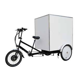 Tricycle électrique de transport de marchandises à trois roues pour la ville, fabriqué en Chine, grand volume de chargement - Product Image 1
