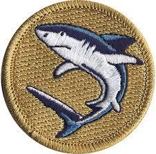 Tốt nhất bán cá mập thiết kế tùy chỉnh logo May on/sắt trên thêu các bản vá lỗi - Product Image 2