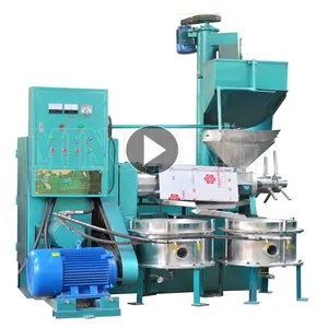 High Output Soybean Palm Sunflower Olive Screw Type Oil Extraction Machine With Factory Price