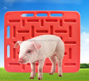 Porco/porco/suíno/porca/javali Pastoreio Boards para pecuária fazenda vaca pecuária