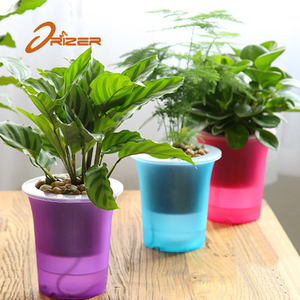 <span class=keywords><strong>Jardin</strong></span> pot de fleur intérieur ou une utilisation en extérieur mignon corée fleur pot avec dans la couleur différente - Product Image 2