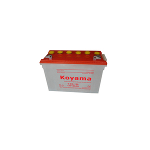 Axít chì hành khách chu kỳ sâu điện ba bánh pin 6-DG-120 12V120Ah với giá cả cạnh tranh - Product Image 1