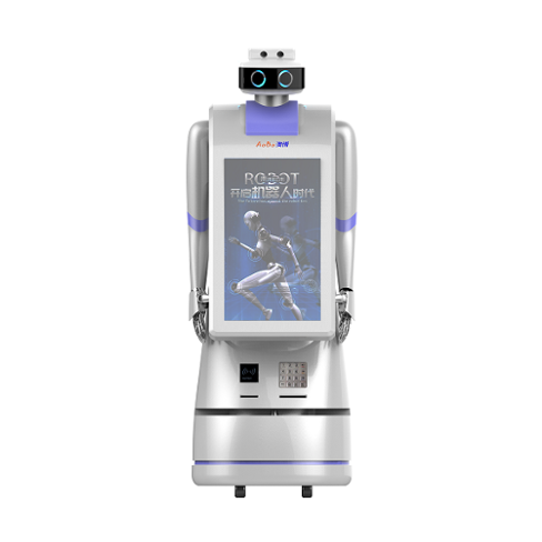 Intelligent Commercial Service Robots Are Used in Public Places