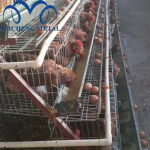 Quảng châu suicheng MỘT loại gia cầm trang trại đặt trứng gà pin gà lớp lồng 96 gà - Product Image 5