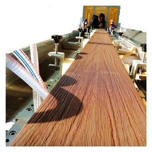 Linea di produzione di legno composito di plastica WPC macchina riciclata Pp/pe/pvc + legno visto polvere rasatura riso buccia progetto chiavi in mano