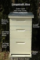 Bee hive Langstroth lieferant versorgung imkerei bee hive 2 zu 5 schicht standard 10 rahmen Langstroth beehive aus China lieferant