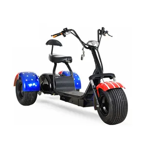 Xe Điện Ba Bánh 1200W 60V Xe Điện Ba Bánh Trike Cho Người Lớn