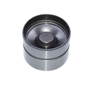 Lève-Personne hydraulique Poussoirs Suiveur Pour le Scarabée de VW Jetta <span class=keywords><strong>Golf</strong></span> Passat Touareg 1100677,1426035,038109309A,038109309B,038109309C - Product Image 6
