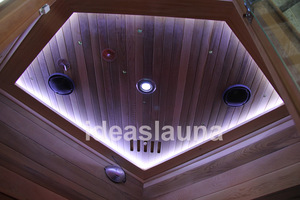 <strong>Cheap</strong> Prefab Homes Infrared <strong>Sauna</strong> Control Panel <strong>for</strong> <strong>Sale</strong> - Product Image 5