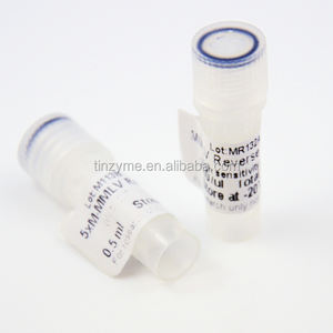 Tinzyme HiFi II M-MLV(H-) <span class=keywords><strong>Reverse</strong></span> <span class=keywords><strong>Transcriptase</strong></span> RT05 10KU/fiallo Maggiore Specificità e Stabilità Sintetizza fino a 12 KB di CDNA - Product Image 3