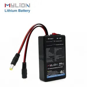 Großhandel 12volt batterie packs-Mylion 12Volt 2500mAh kleiner Lithium-Ionen-Backup-Akku für LED-Licht/Panel & Kamera/IP-Kamera