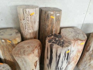 Pierre décorative naturelle de luxe en bois pétrifié, 1 pièce de Collection de bonne qualité