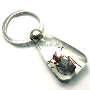 Luminous Real Insects Amber Keychain with Scorpion