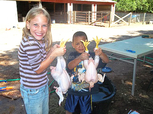 Neweek vertical <span class=keywords><strong>poulet</strong></span> plume de nettoyage volaille plucker <span class=keywords><strong>machine</strong></span> - Product Image 5