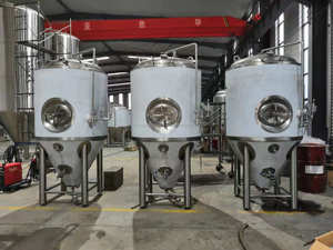 100l 500l 2000l brew nhà lên men 304 thép không gỉ quá trình lên men hệ thống - Product Image 2