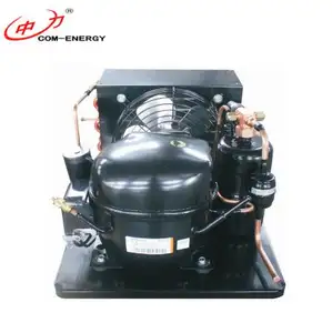 NEK6212Z Nhỏ Embraco Kín Máy Nén Mini Làm Mát Bằng Không Khí Tủ Đông Đơn Vị Làm Lạnh Ngưng Tụ Đơn Vị - Product Image 1