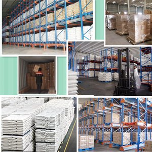 Polvere per Impronte Dentali in Alginato Cromatico di Grado Odontoiatrico per Modellazione e Colata 3D - Product Image 6