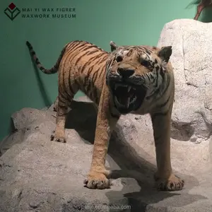 الراتنج الألياف الزجاجية تمثال الحيوان النمر